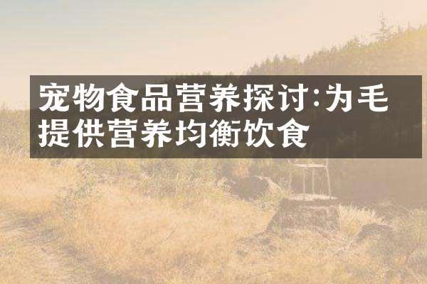 宠物食品营养探讨:为毛孩提供营养均衡饮食
