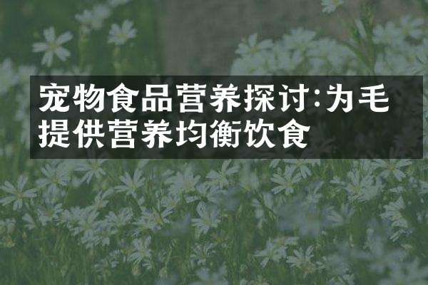 宠物食品营养探讨:为毛孩提供营养均衡饮食