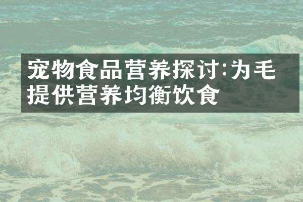 宠物食品营养探讨:为毛孩提供营养均衡饮食