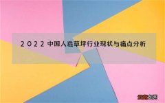 2022中国人造草坪行业现状与痛点分析，发展历程梳理