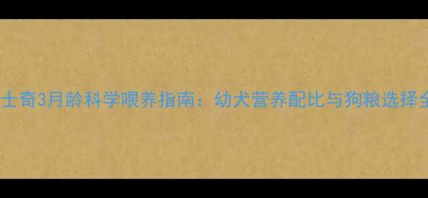 图片 哈士奇3月龄科学喂养指南：幼犬营养配比与狗粮选择全2