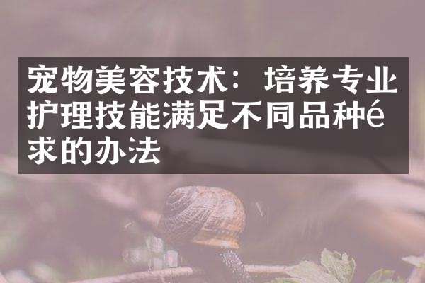 宠物美容技术:培养专业护理技能满足不同品种需求的办法