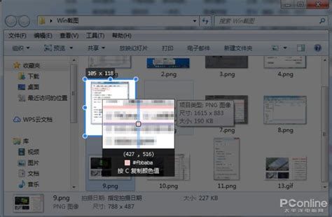 巨型泰迪宠物狗多少钱一只,巨型贵宾犬多少钱一只