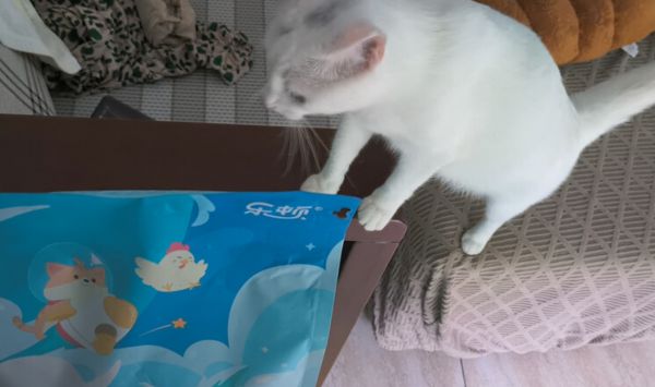 2025年宠物狗粮有哪些品牌？乐顿凭品质赢一席之地