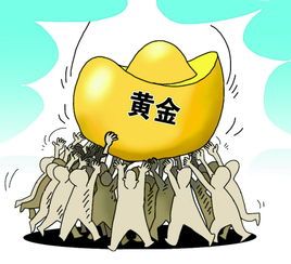 库克颇犬喂养攻略：幼成老三阶段食法全解析