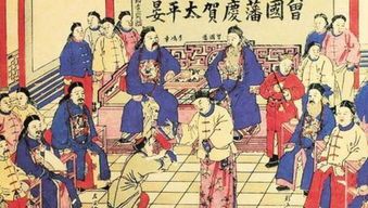 库克颇犬喂养攻略：幼成老三阶段食法全解析