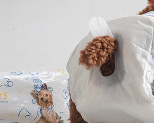 狗狗咬尿片的行为如何纠正？有效的方法有哪些？