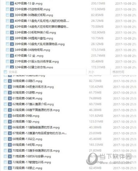 某知名狗狗培训基地899元教程