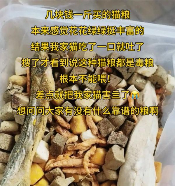 成年猫误食幼猫粮会有何后果？
