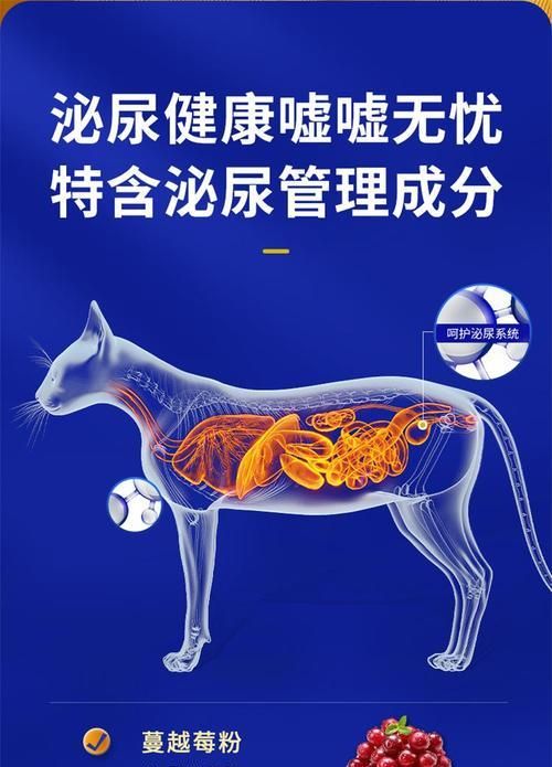 成年加菲猫每日猫粮摄入量应为多少克？如何根据活动量调整食量？