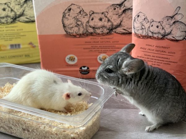 奉贤区仓鼠木屑供应商家,仓鼠木屑