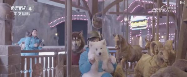 “携宠出游”成春节新潮流:打造“人宠友好”场景 开拓消费新空间