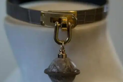 咪咕宠物用品推出智能健康监测项圈：重新定义宠物安全标准