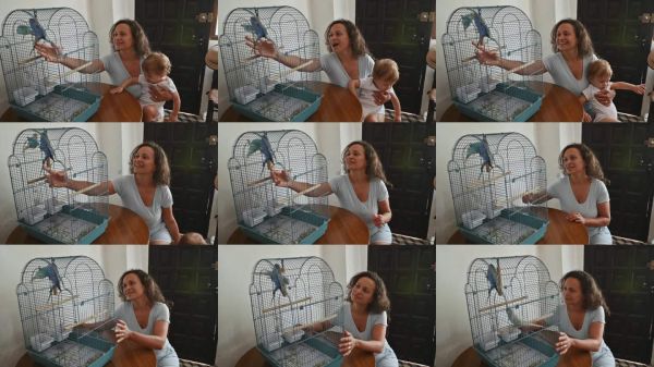 母亲和孩子在温馨的家居环境中与家养宠物鸟享受美好时光。