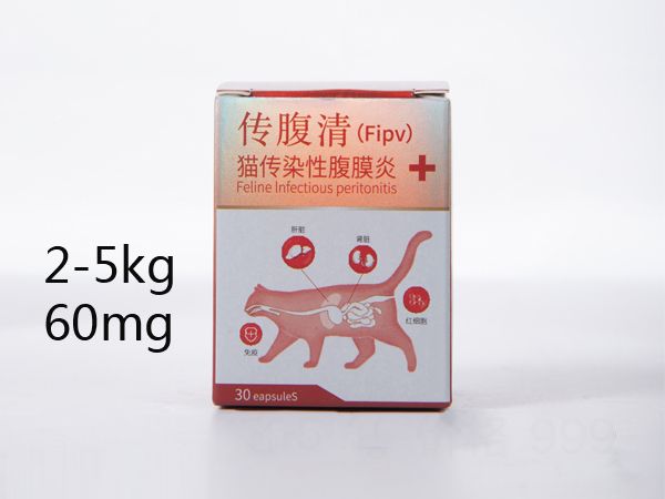 宠物健康知识库：干性猫传腹的诊断与鉴别