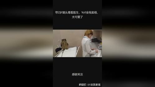 带2岁猫头鹰看医生，Yoll全程卖萌，太可爱了
