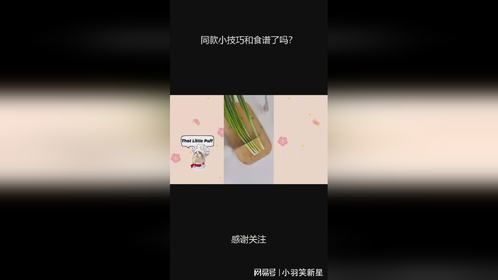 同款小技巧和食谱了吗？