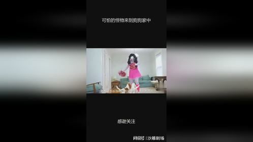 可怕的怪物来到狗狗家中