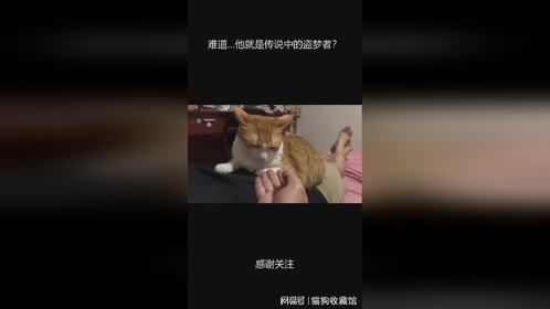 难道…他就是传说中的盗梦者？