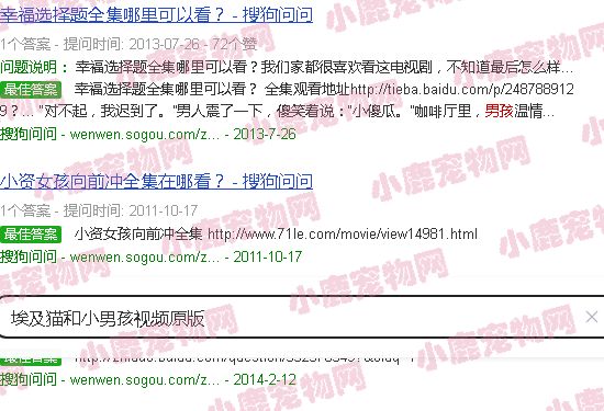 埃及猫和小男孩视频原版