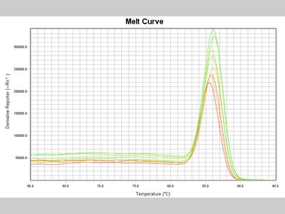 【必看】1分钟看懂qPCR曲线图