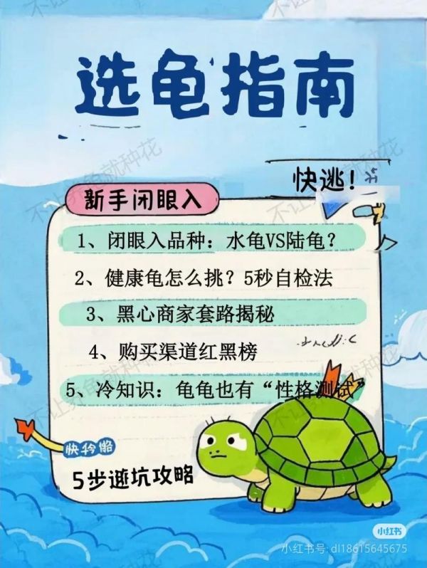 龟仙人乐园最新版本怎么玩新手必看指南