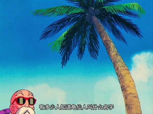 龟仙人乐园最新版本怎么玩新手必看指南