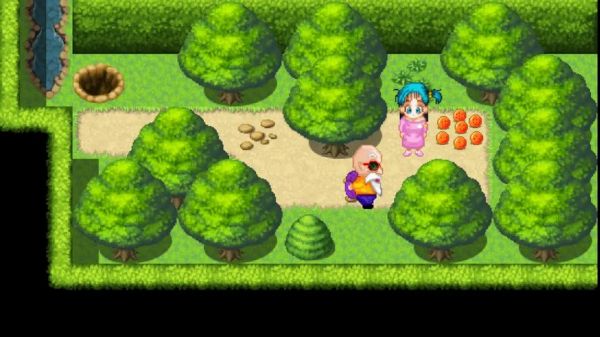 龟仙人乐园最新版本怎么玩新手必看指南