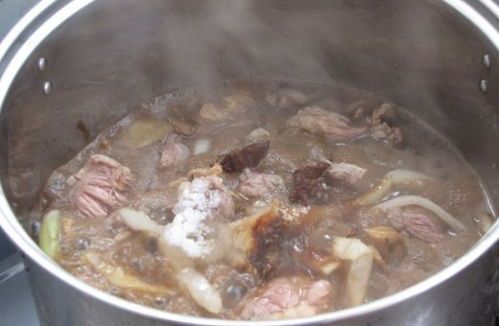 宠物狗煮牛肉怎么煮的好吃