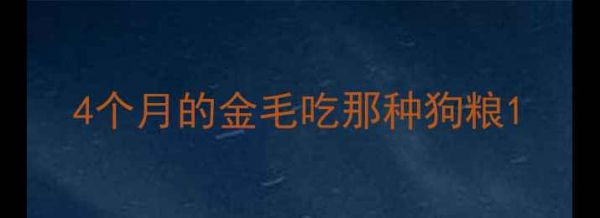 图片 4个月的金毛吃那种狗粮1