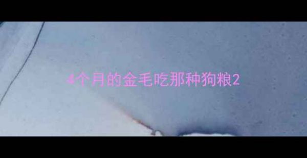 图片 4个月的金毛吃那种狗粮2