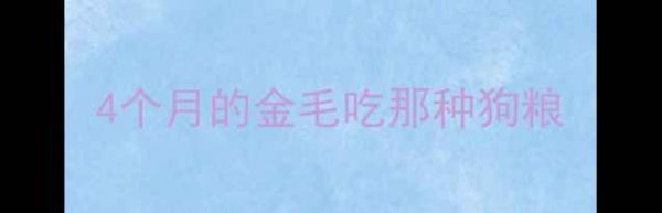 图片 4个月的金毛吃那种狗粮