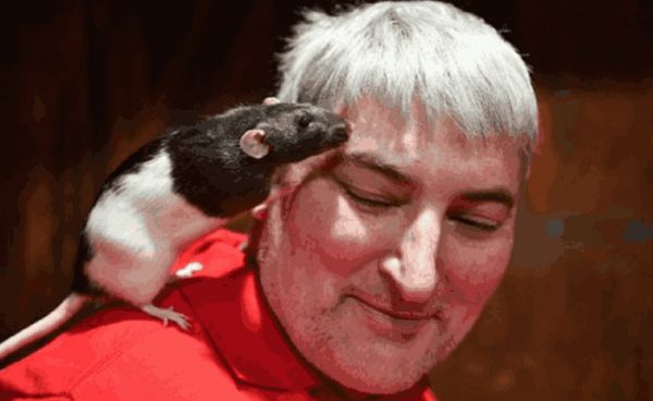 这个咖啡馆满是老鼠却生意火爆, 客人: 要是没有老鼠我就不来