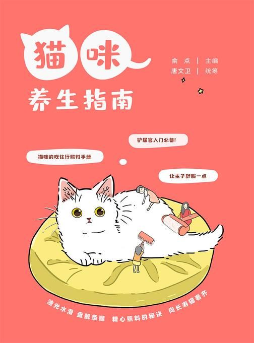 猫咪养生指南