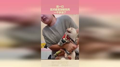 这一口，狂犬疫苗加破伤风，一千多没了！