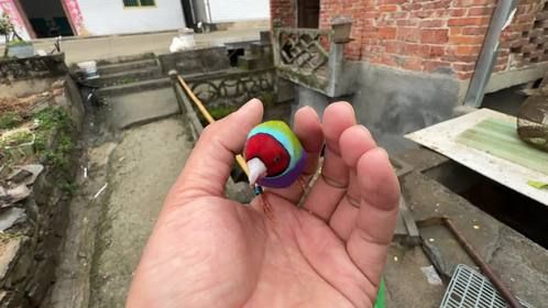 奇迹啊，飞丢一天一夜，它居然自己回来了