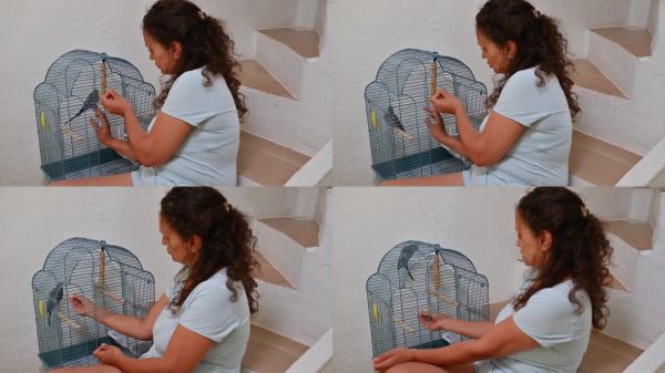 女人在楼梯旁与笼中的宠物鸟互动,展示了人类与动物在家庭环境中的关爱纽带。