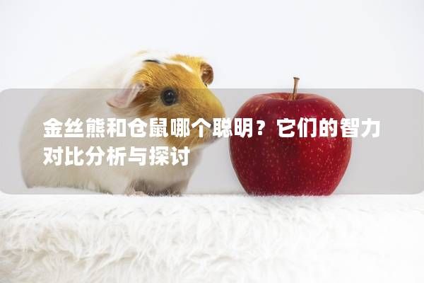 金丝熊和仓鼠哪个聪明？它们的智力对比分析与探讨