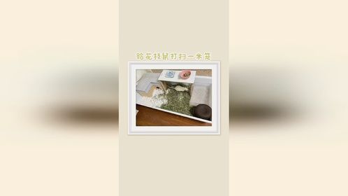 给花枝鼠鼠打扫笼子啦