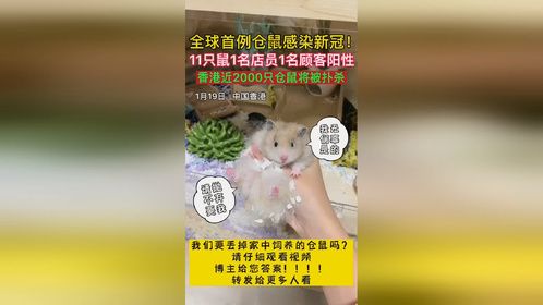 希望本期视频能够帮到被父母要求丢掉家中宠物的人