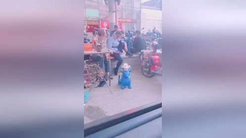 狗子发型有点潦草，应该是刚失恋，一夜未眠吧！