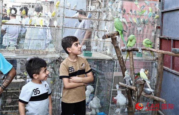 两名小朋友在观看加扎利市场的鹦鹉。人民网 伊纳斯·易卜拉欣摄