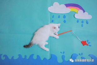 “宠物养殖小技巧：高密度养鱼，轻松入门！”