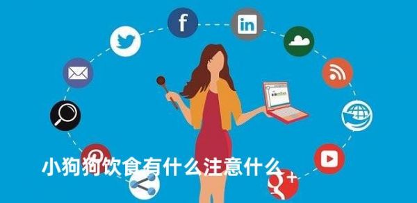 小狗狗饮食有什么注意什么