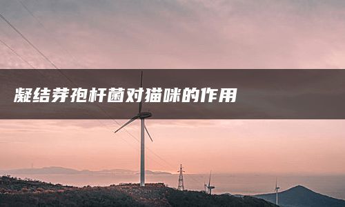 凝结芽孢杆菌对猫咪的作用