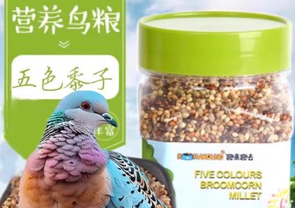 跑来跑去鹦鹉粮:解锁鹦鹉的美味营养宝库