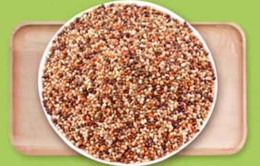 跑来跑去鹦鹉粮:解锁鹦鹉的美味营养宝库