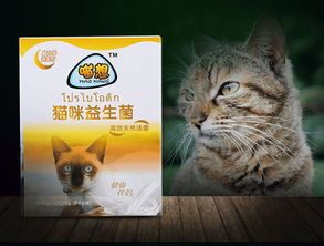 猫咪拉稀处理指南，宠物主人必读！