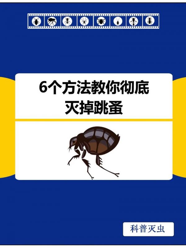 蚤蠅如何消滅