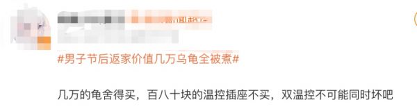 男子节后返家发现13只宠物龟全被“煮”了：温控设备失灵